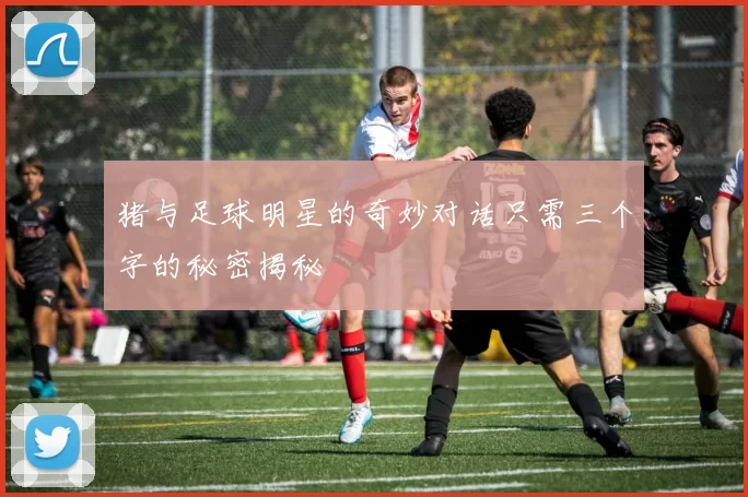 猪与足球明星的奇妙对话只需三个字的秘密揭秘
