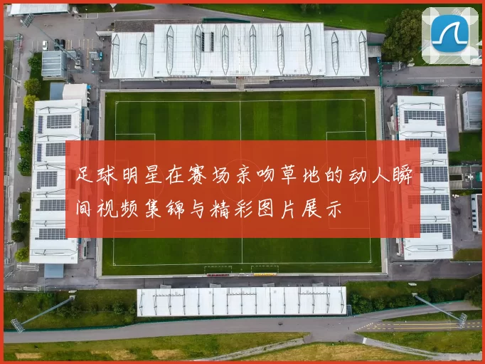 足球明星在赛场亲吻草地的动人瞬间视频集锦与精彩图片展示