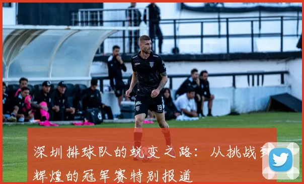 深圳排球队的蜕变之路：从挑战到辉煌的冠军赛特别报道