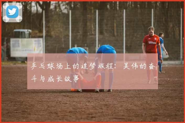 乒乓球场上的追梦旅程：吴伟的奋斗与成长故事