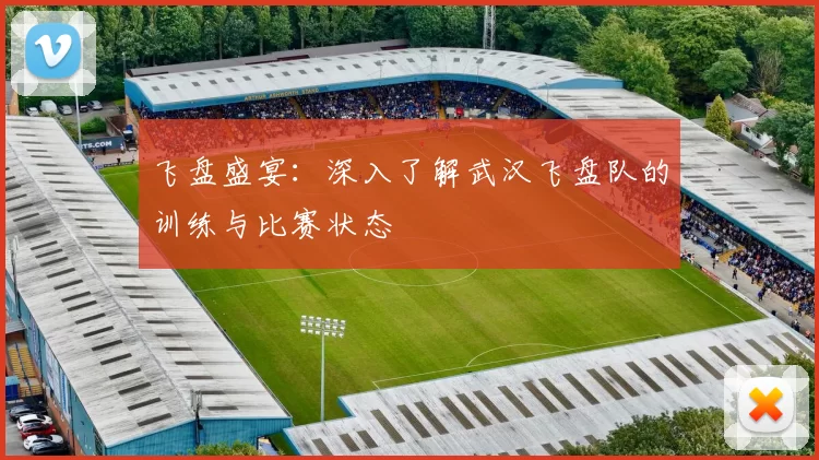 飞盘盛宴：深入了解武汉飞盘队的训练与比赛状态