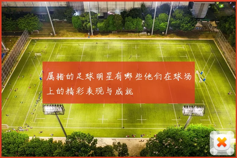 属猪的足球明星有哪些他们在球场上的精彩表现与成就