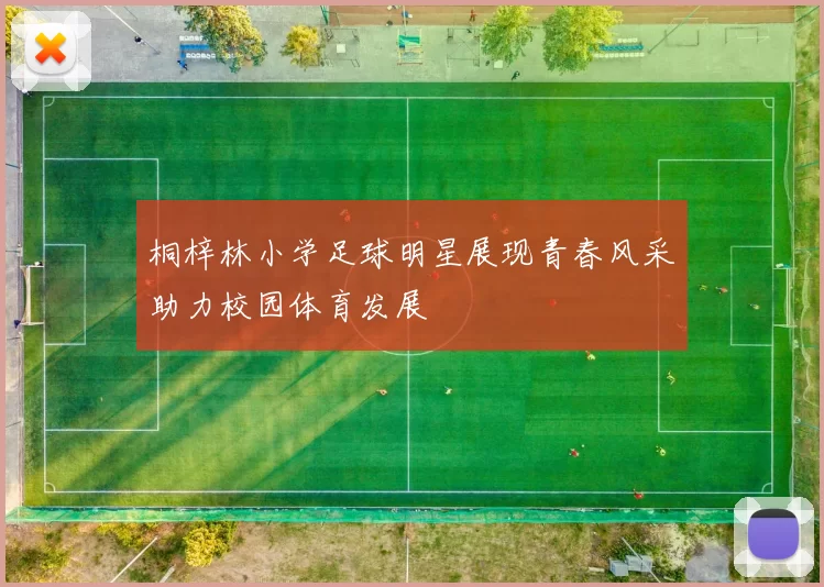 桐梓林小学足球明星展现青春风采助力校园体育发展