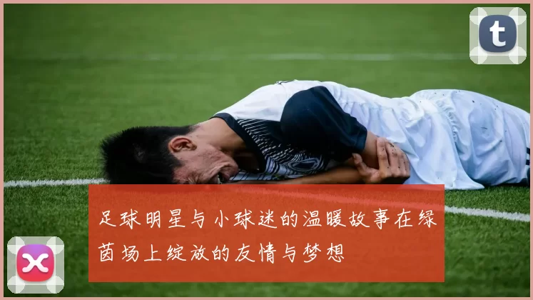 足球明星与小球迷的温暖故事在绿茵场上绽放的友情与梦想