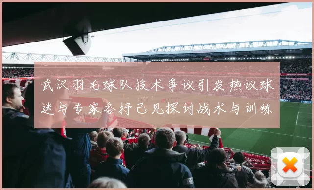 武汉羽毛球队技术争议引发热议球迷与专家各抒己见探讨战术与训练问题