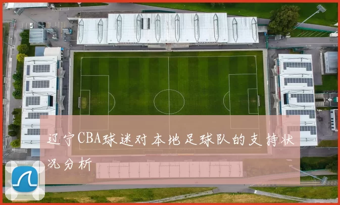 辽宁CBA球迷对本地足球队的支持状况分析