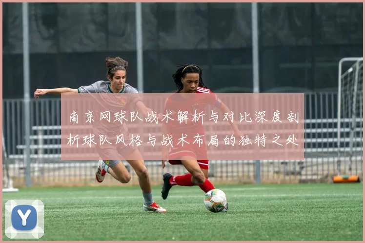 南京网球队战术解析与对比深度剖析球队风格与战术布局的独特之处