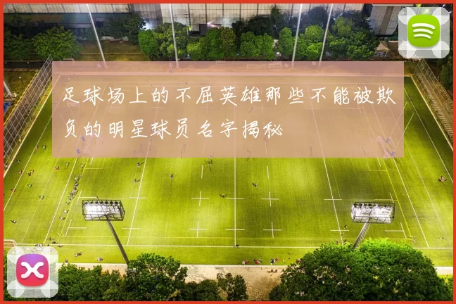 足球场上的不屈英雄那些不能被欺负的明星球员名字揭秘