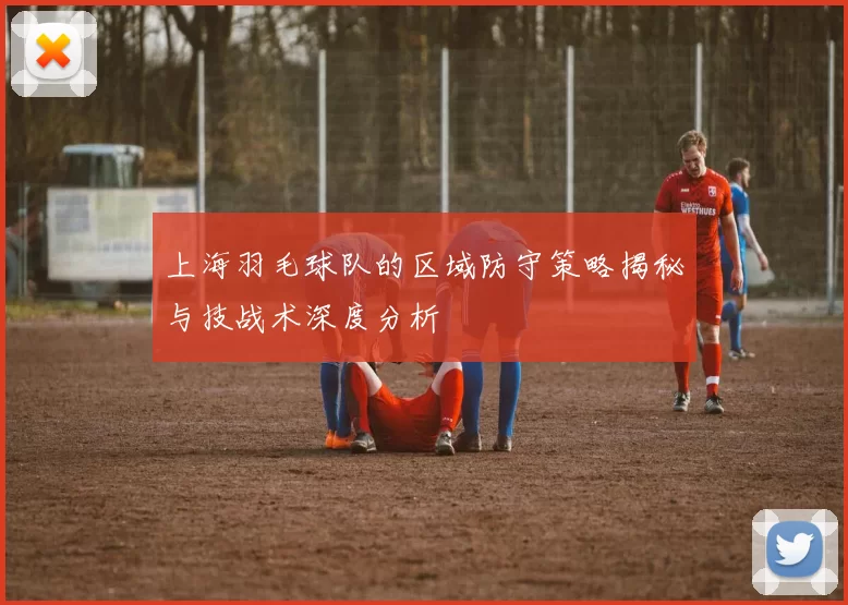上海羽毛球队的区域防守策略揭秘与技战术深度分析